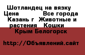 Шотландец на вязку › Цена ­ 1 000 - Все города, Казань г. Животные и растения » Кошки   . Крым,Белогорск